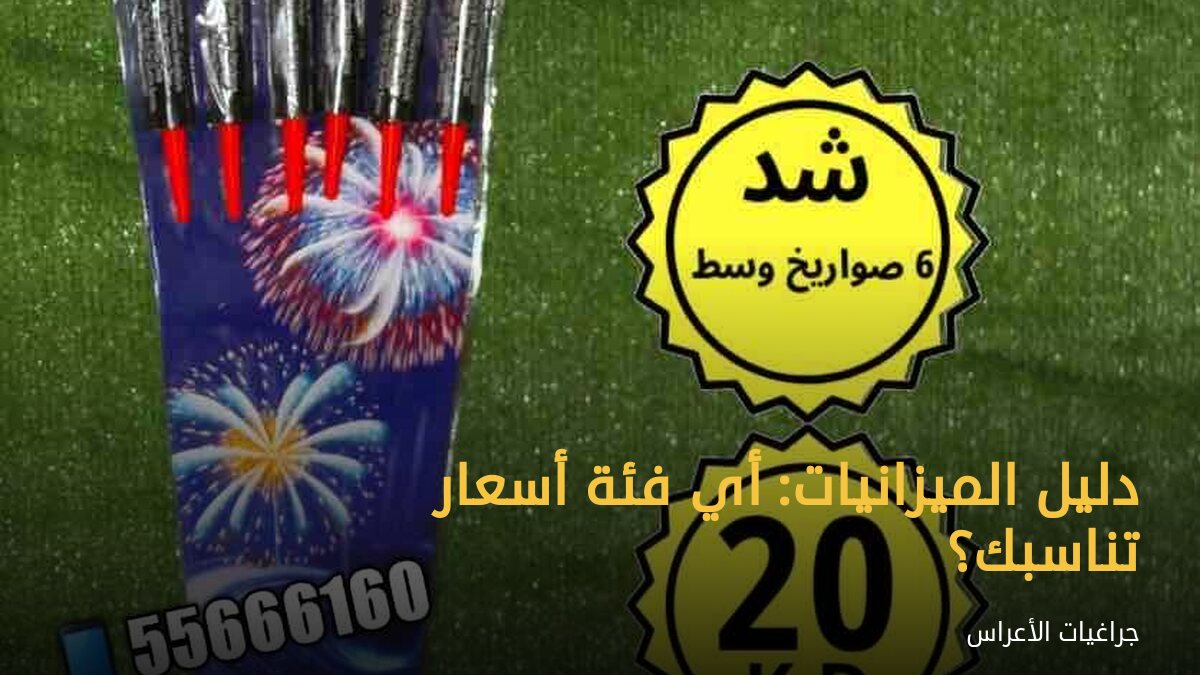 دليل الميزانيات: أي فئة أسعار تناسبك؟