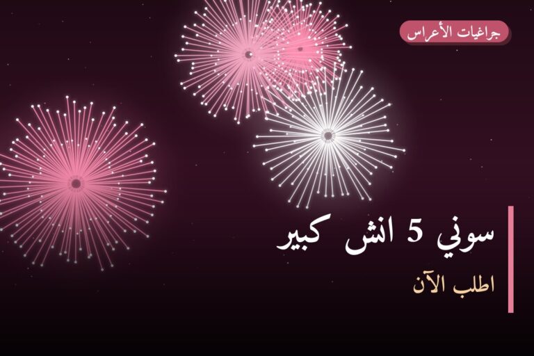 دليل سوني 5 انش كبير: كل ما تحتاج معرفته قبل الطلب