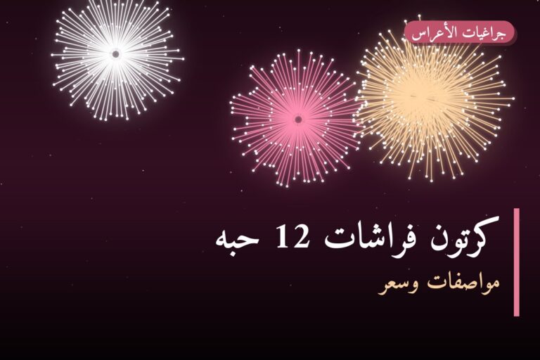 دليل كرتون فراشات 12 حبه: كل ما تحتاج معرفته قبل الطلب
