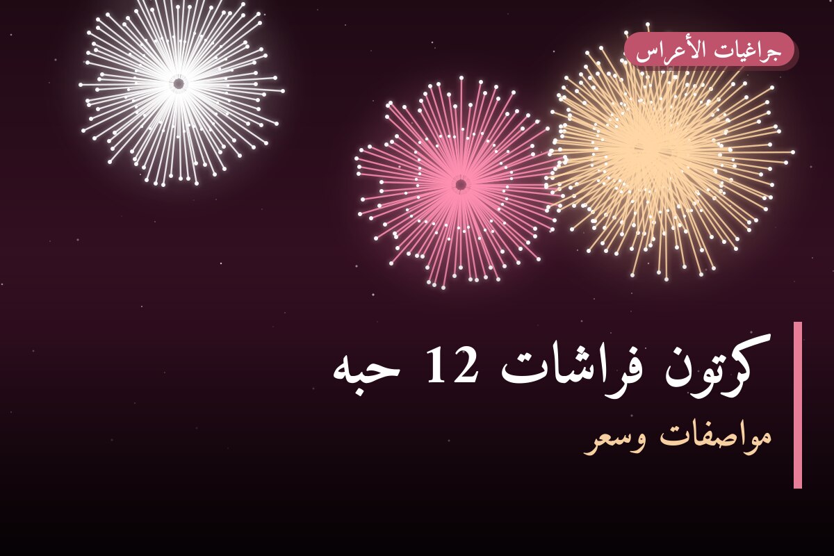دليل كرتون فراشات 12 حبه: كل ما تحتاج معرفته قبل الطلب