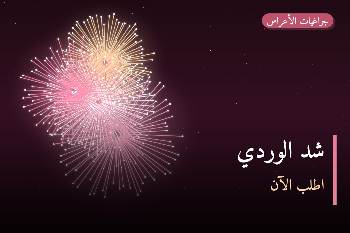 هل شد الوردي مناسب لمناسبتك؟ دليل الاختيار والسعر