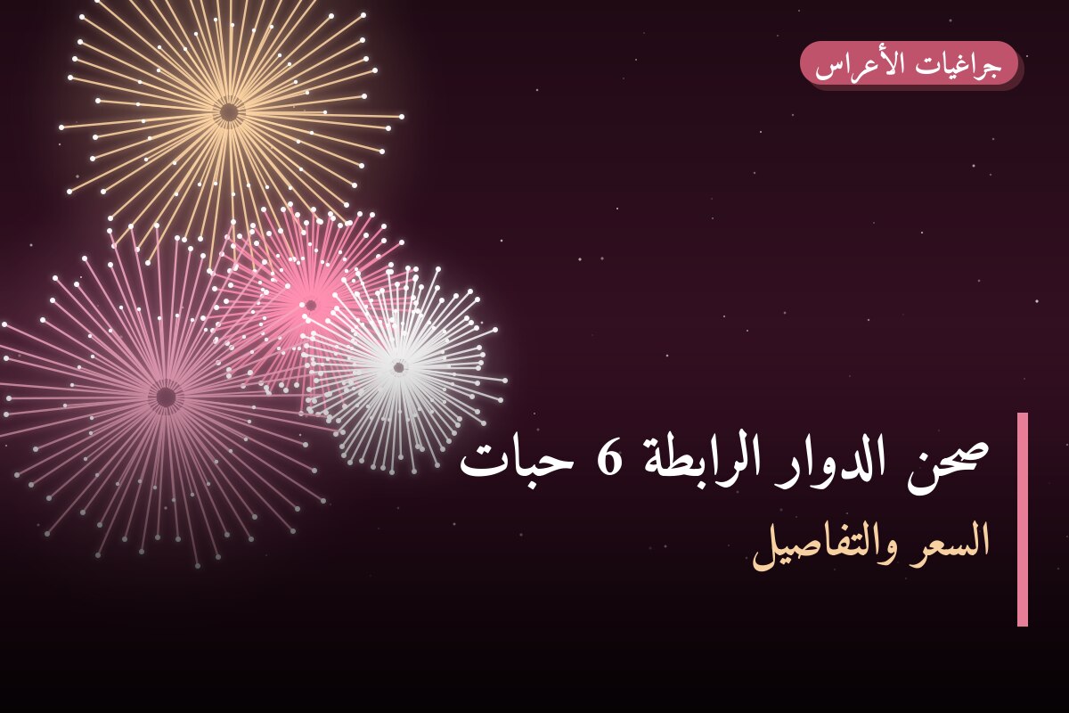 صحن الدوار الرابطة 6 حبات من جراغيات الأعراس — مواصفات وسعر وطريقة الطلب