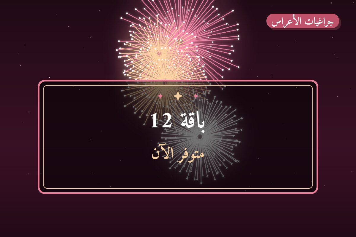 دليل باقة 12: كل ما تحتاج معرفته قبل الطلب