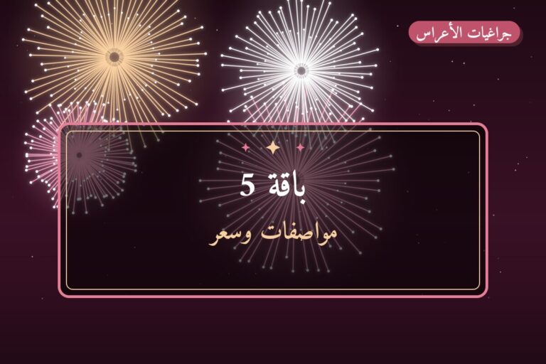 باقة 5: السعر والمواصفات الكاملة