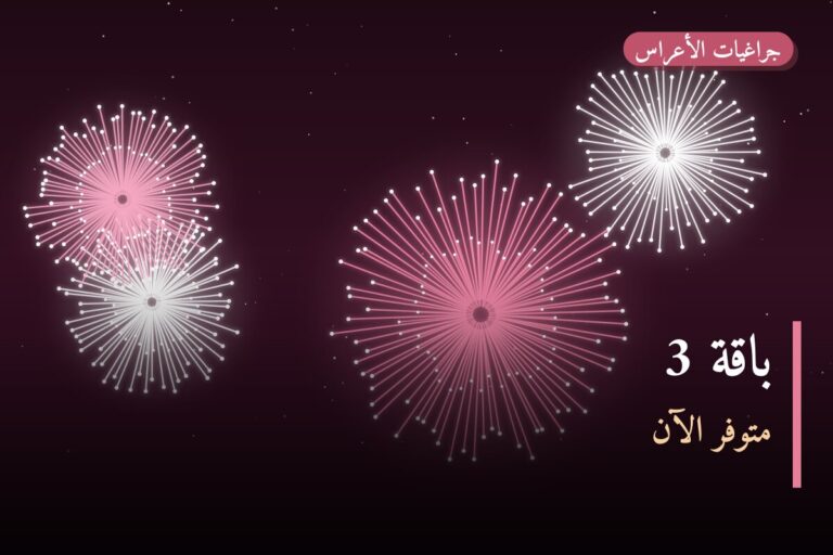 باقة 3: السعر والمواصفات الكاملة