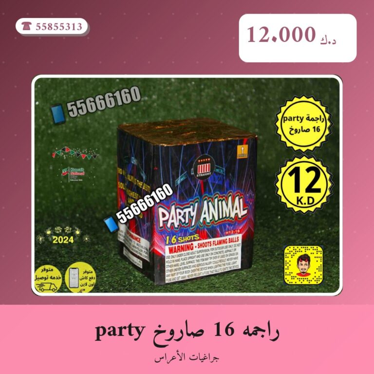دليل راجمه 16 صاروخ party: كل ما تحتاج معرفته قبل الطلب