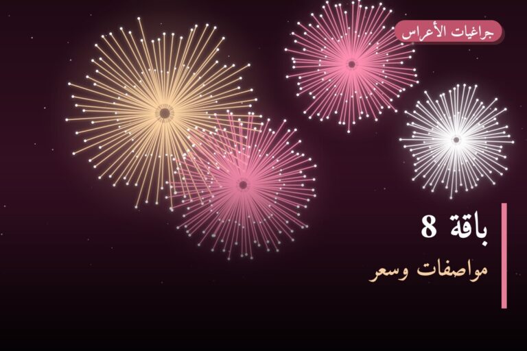 دليل باقة 8: كل ما تحتاج معرفته قبل الطلب