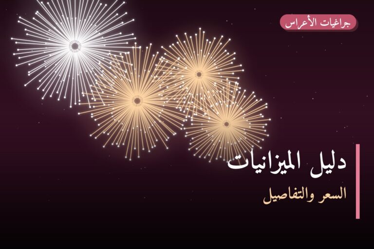دليل الميزانيات: أي فئة أسعار تناسبك؟
