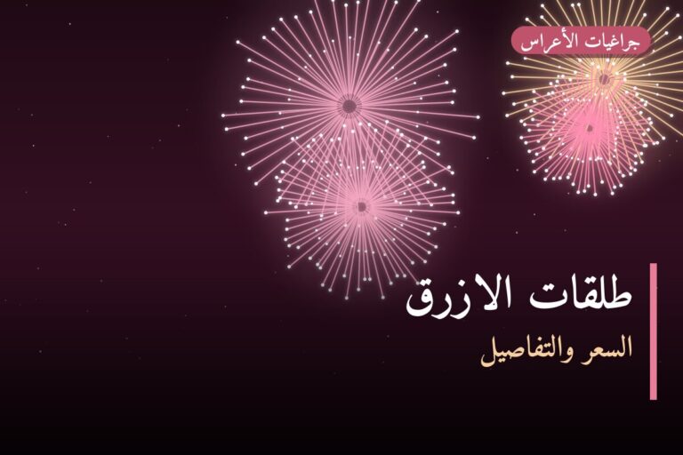 طلقات الازرق في الكويت — السعر والتفاصيل
