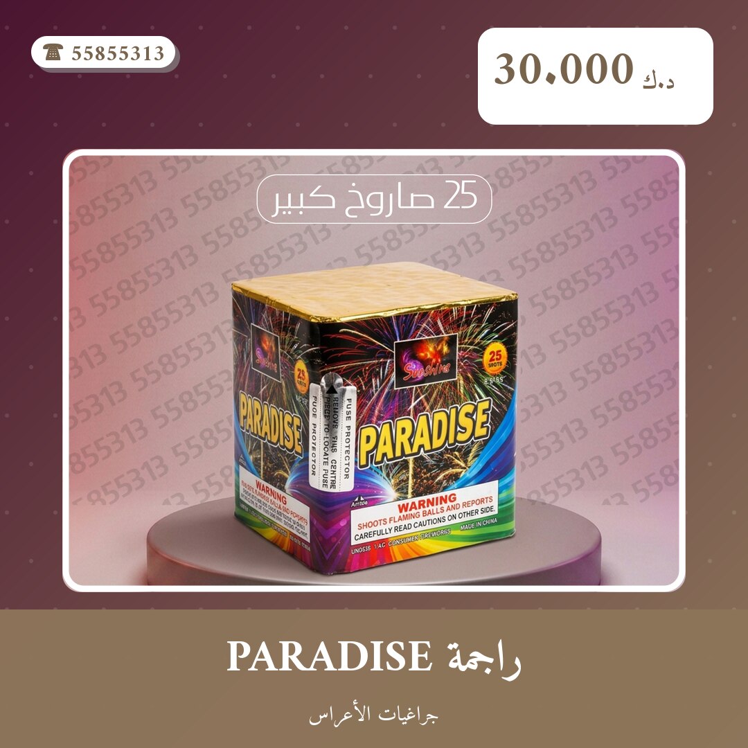 راجمة PARADISE: السعر والاستخدام الآمن وأفضل المناسبات