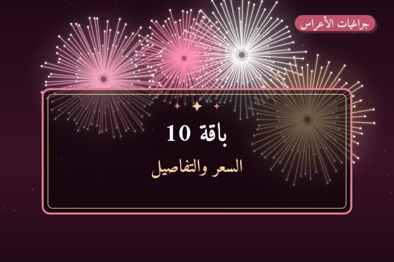 دليل باقة 10: كل ما تحتاج معرفته قبل الطلب