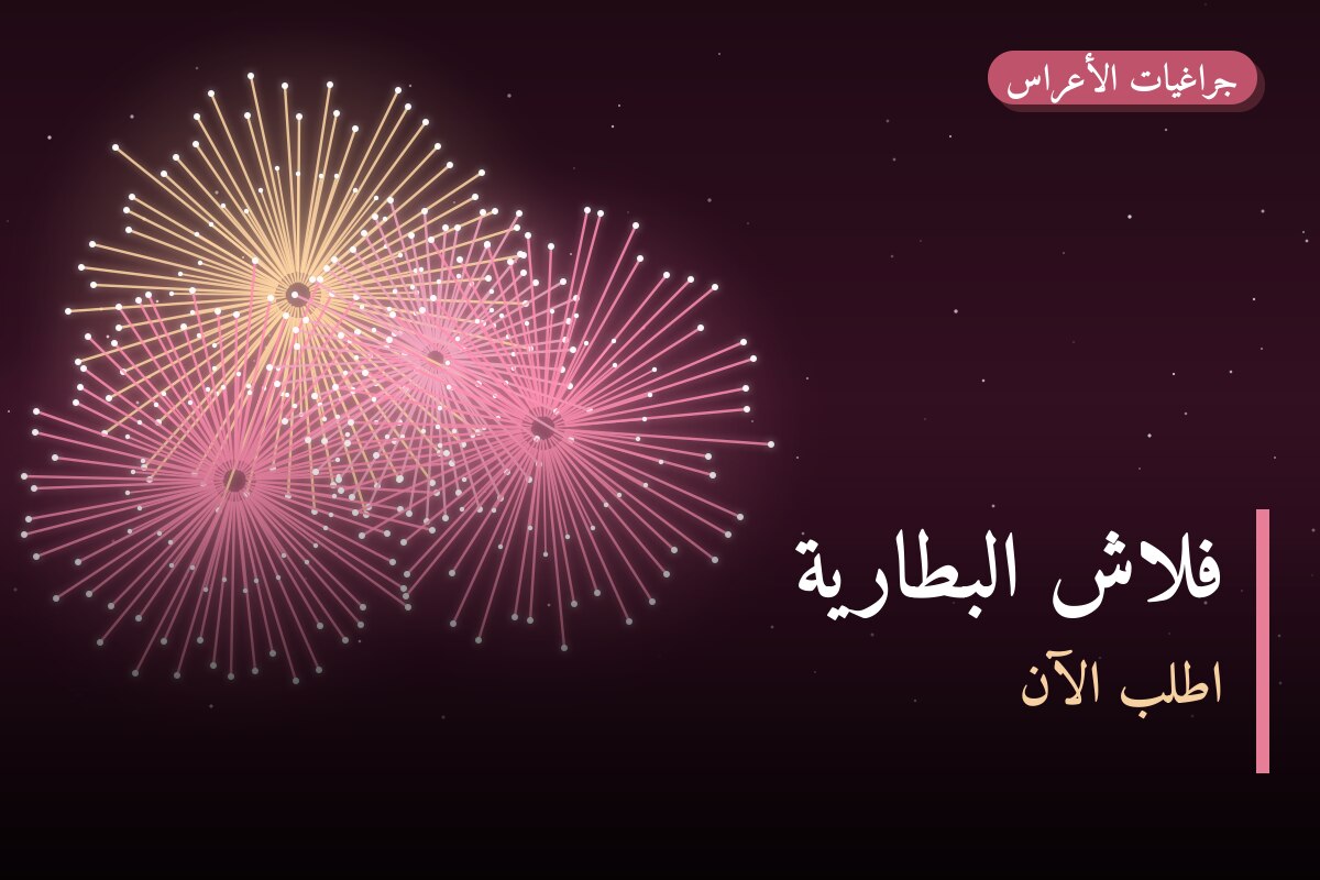 فلاش البطارية في الكويت — السعر والتفاصيل