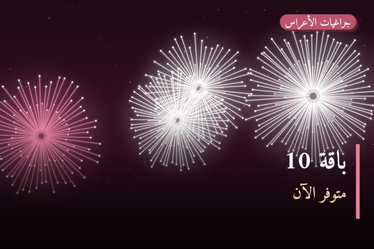 دليل باقة 10: كل ما تحتاج معرفته قبل الطلب