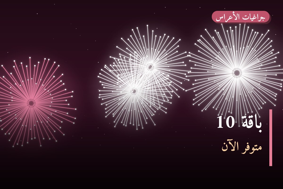 دليل باقة 10: كل ما تحتاج معرفته قبل الطلب