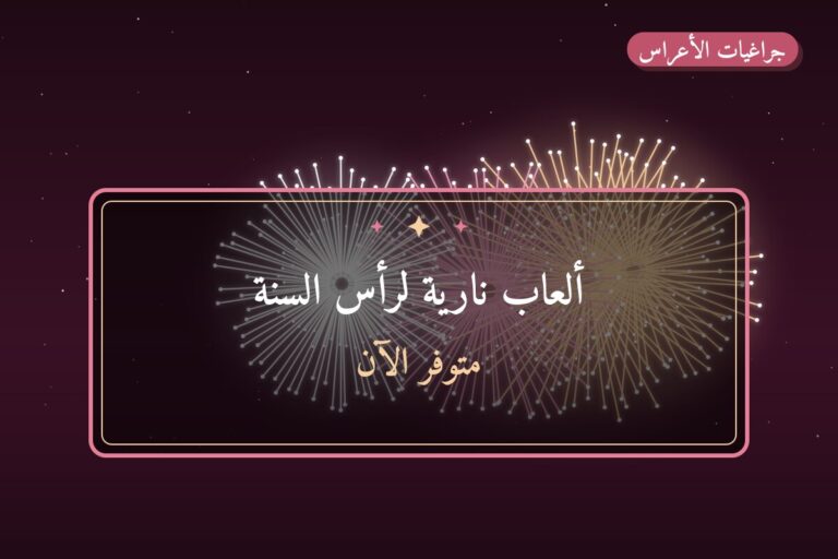 ألعاب نارية لرأس السنة — ماذا تختار وكم يكلف