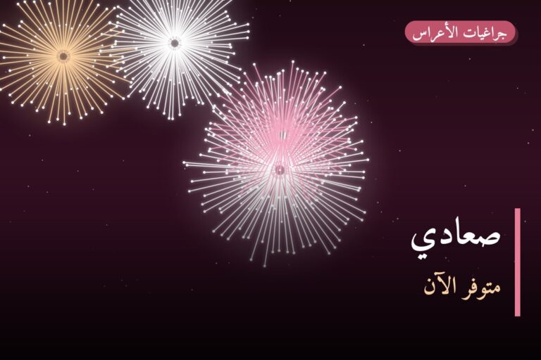 صعادي في الكويت — السعر والتفاصيل
