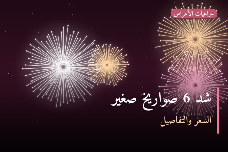 شد 6 صواريخ صغير: السعر والمواصفات الكاملة