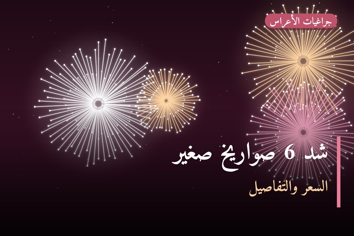 شد 6 صواريخ صغير: السعر والمواصفات الكاملة