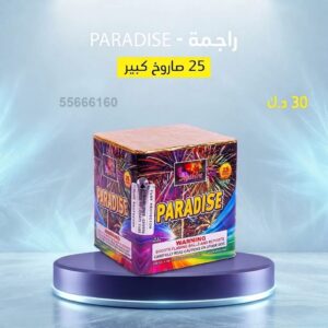راجمة PARADISE في السالمية